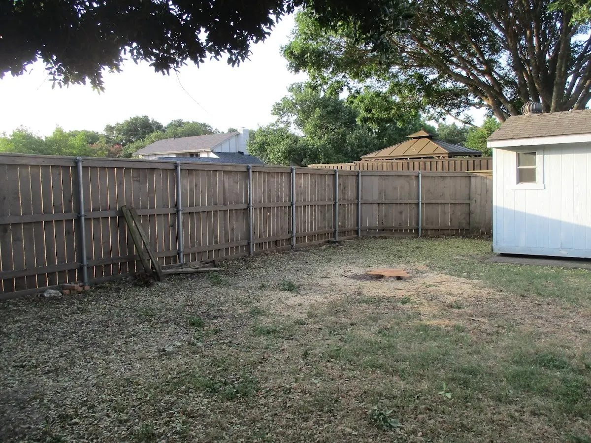 Cleared yard after professional tree removal in Delmar